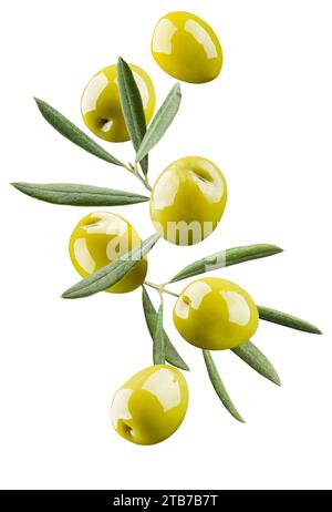 Green olives with branch and leaves, isolated on white background. Stock Photo