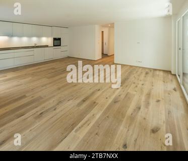Spacious modern interior featuring a large empty room with wooden flooring, white walls, and built-in kitchen cabinetry. Stock Photo