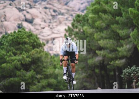 Cyclist in a blue jersey approaching on a mountain road surrounded by pine trees Stock Photo