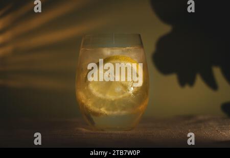 Gin and tonic cocktail in highball glass with ice and lemon slices in front of light green wall Stock Photo