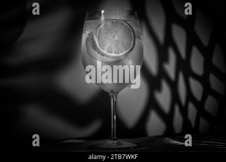 Gin and tonic cocktail with ice and lemon slices in black and white, noir style Stock Photo