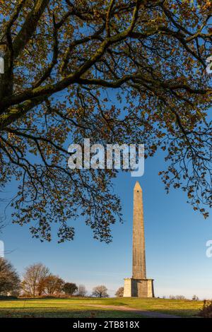 The Wellington Monument at 53m is the tallest three sided obelisk in the world Stock Photo
