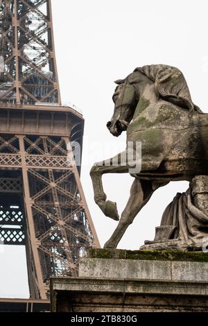Horse at the foot of the Eiffel Tower in Paris - France Stock Photo