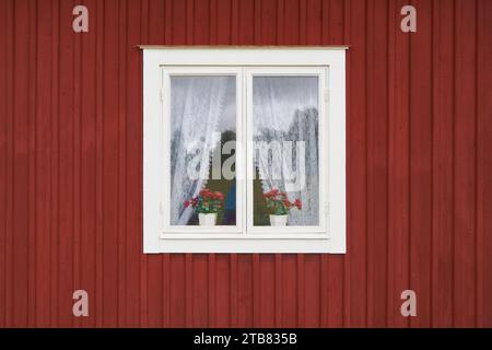 White old wooden window with curtain and flower pots in house wall Stock Photo