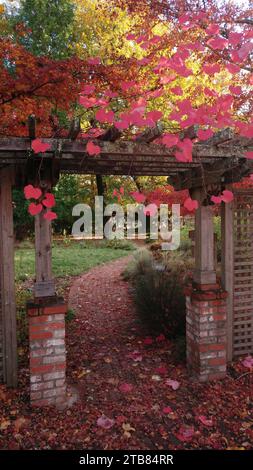 A brick path leads through a gateway amidst colorul yellow, red and orange trees in autumn in northern California. Stock Photo