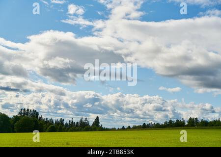 Blue sky with many white clouds over green field in summer Stock Photo