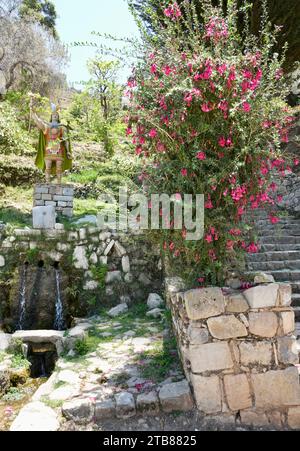 Puerto Sur Isla del Sol, Bolivia. October 9, 2023. Inca figure by The Inca Stairs, with Magic Flower of The Incas Bush. Stock Photo