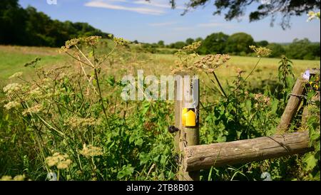 A yellow waymarker on a fence post. Stock Photo