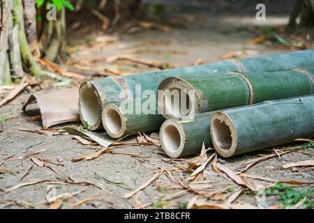 Felled bamboo tube trunks in fresh green color Stock Photo