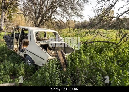 Remains of a 70s car devoured Stock Photo