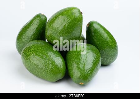 Pile of group green avocados isolated on white studio background Stock Photo