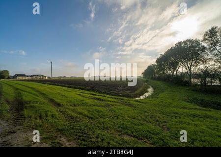 Agricultural fields in Noard-east Fryslan, the Netherlands Stock Photo ...