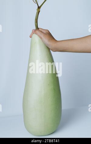 Young woman holding fresh lagenaria Siceraria or bottle gourd isolated on white. Stock Photo