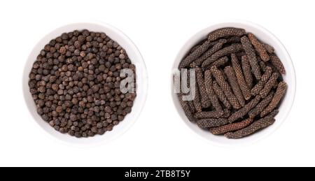 Dried black peppercorns and long pepper catkins, in white bowls. Berries of Piper nigrum, and fruits of Piper longum, sometimes called pippali. Stock Photo