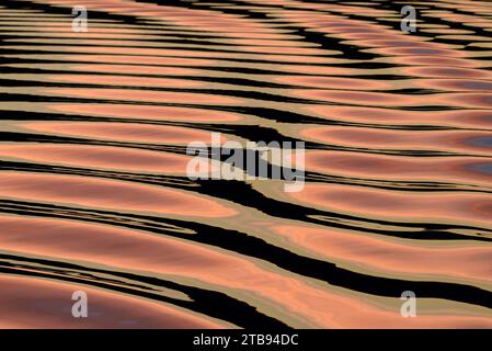 Sunrise light reflecting on rippled water on Glacier Bay, Inside Passage, Alaska USA; Alaska, United States of America Stock Photo