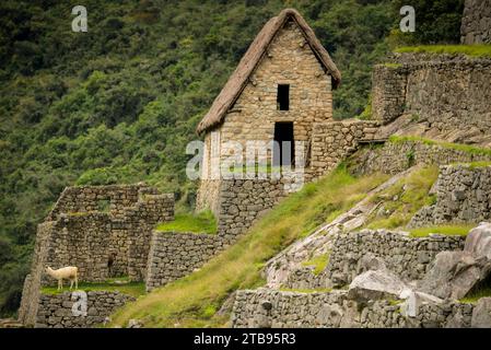 Machu Picchu; Peru Stock Photo