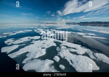 Drift ice in the Freemundsen Passage; Svalbard, Norway Stock Photo