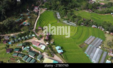 green-rice-fields-between-mountains-with-mae-klang-luang-village-on-doi