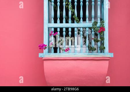 Detail of a pink building and window sill flowers; Cartagena, Bolivar, Colombia Stock Photo