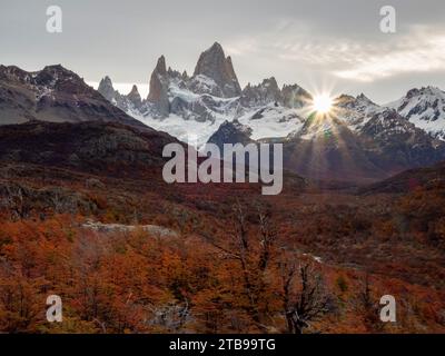 Views along the day hike to Laguna Torre peak with fall color of southern beech, or Nothofagus trees in Los Glaciares National Park Stock Photo