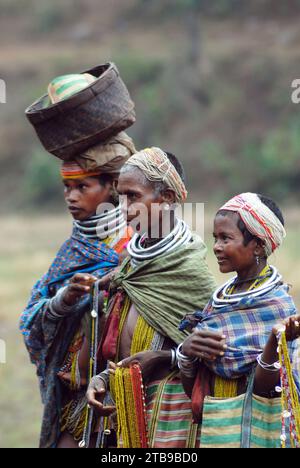 Bondas tribal women going to the Ankudeli market. The Bonda, also known as Remo, are a Munda ethnic group who live in the isolated hill regions of the Malkangiri district of southwestern Odisha, near the junction of the three states of Odisha, Chhattisgarh, and Andhra Pradesh. The tribe is one of the oldest and most primitive in mainland India; their culture has changed little for more than a thousand years. They are one of the 75 Primitive Tribal Groups identified by the Government of India. Stock Photo