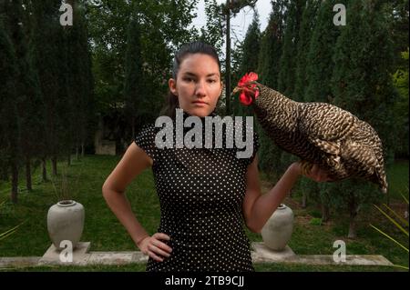 Young woman holds a barred rock chicken (Gallus domesticus sp.); Lincoln, Nebraska, United States of America Stock Photo