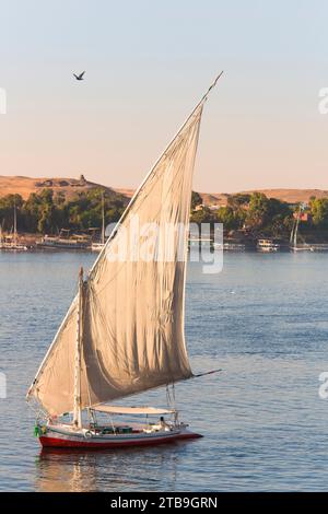 Felucca traveling on the River Nile with the tombs of nobles and Qubbet el-Hawa in the background on the western bank of the river while a bird fli... Stock Photo