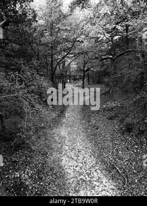 Path In the Dry Creek Under the Bridge Stock Photo