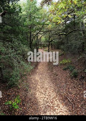 Path In the Dry Creek Under the Bridge Stock Photo