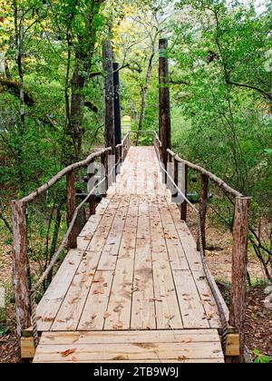 Wooden Bridge in the Woods to Yellow Tent Stock Photo