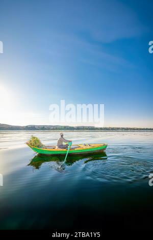 Aswan, Egypt; December 5, 2023 - An Egyptian man collects grass in his boat to feed his camals. Stock Photo