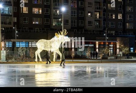 Calgary Alberta Canada, November 30 2023: Ice skater skating in front of a moose Christmas decoration on a frozen outdoor rink overlooking a condomini Stock Photo