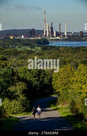 View, from the Rheinpreußen slagheap in Moers, across the Rhine to the Thyssenkrupp Steel steelworks in Duisburg-Beeckerwerth, blast furnaces, coking Stock Photo