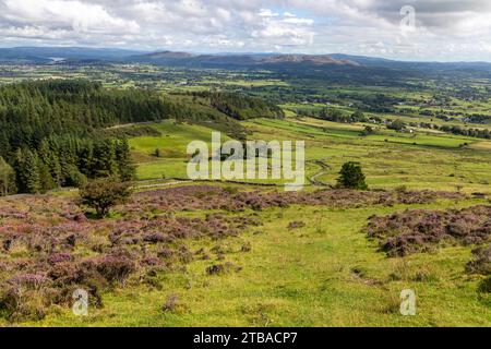 Trail to Knocknarea mountain, Grange North, Knockaree, Sligo, Ireland Stock Photo