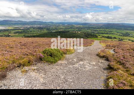 Trail to Knocknarea mountain, Grange North, Knockaree, Sligo, Ireland Stock Photo