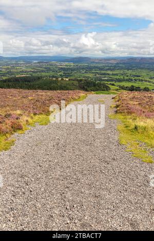 Trail to Knocknarea mountain, Grange North, Knockaree, Sligo, Ireland Stock Photo