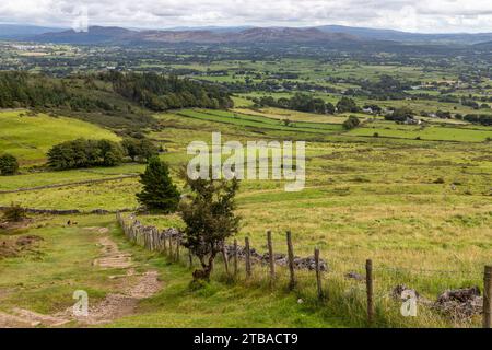 Trail to Knocknarea mountain, Grange North, Knockaree, Sligo, Ireland Stock Photo