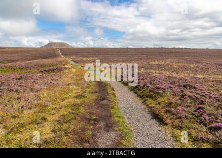 Trail to Knocknarea mountain, Grange North, Knockaree, Sligo, Ireland Stock Photo