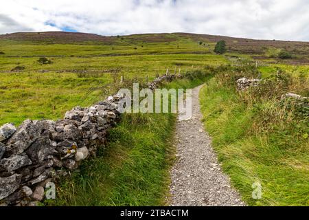 Trail to Knocknarea mountain, Grange North, Knockaree, Sligo, Ireland Stock Photo