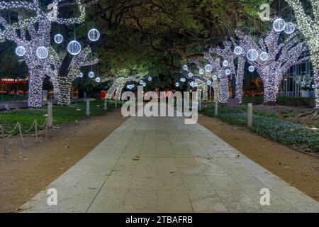 Small white lights in trees over a wide gray sidewalk at night. Stock Photo