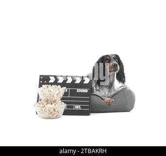 Cute cocker spaniel dog with bowls of popcorn and clapperboard lying on pet bed against white background Stock Photo