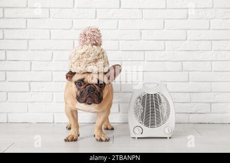 Cute French bulldog in hat with electric fan heater near white brick wall Stock Photo
