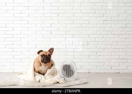 Cute French bulldog with plaid and electric fan heater near white brick wall Stock Photo