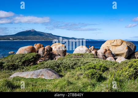 Granite outcrops along the coast. Cheynes, Western Australia. Stock Photo