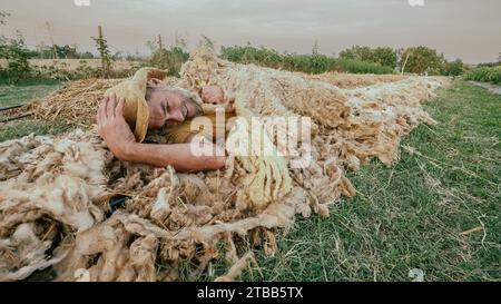 funny adult farmer taking sleep a nap on sheep wool mulch ready for planting cabbage in organic vegetable garden during summertime Stock Photo