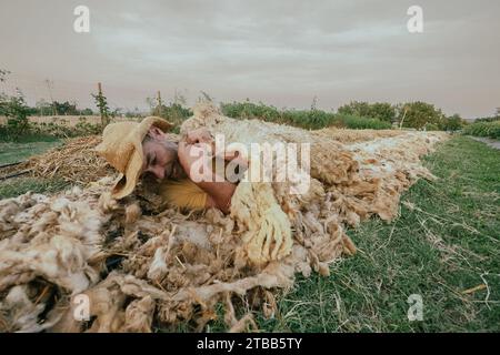 funny adult farmer taking sleep a nap on sheep wool mulch ready for planting cabbage in organic vegetable garden during summertime Stock Photo