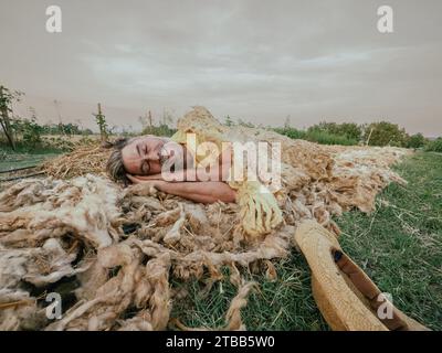 funny adult farmer taking sleep a nap on sheep wool mulch ready for planting cabbage in organic vegetable garden during summertime Stock Photo