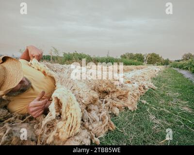 funny adult farmer taking sleep a nap on sheep wool mulch ready for planting cabbage in organic vegetable garden during summertime Stock Photo