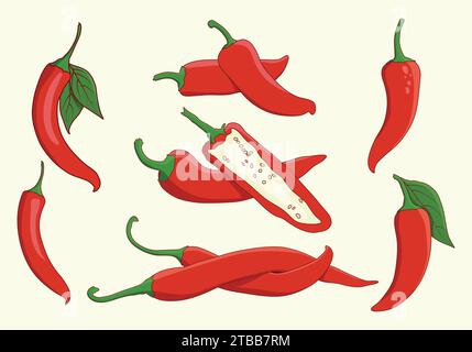 Chili pepper vector illustration, Chili illustration, Chili pepper logo set, Chili pepper vector, Chili icon, Hot chili illustration. Stock Vector