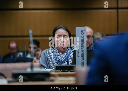 Vienna, Austria, Austria. 5th Dec, 2023. Representative of Venezuela to the UN Vienna, speaks at a delayed meeting in the UN Vienna to commemorate the Day of Palestine which fell on 29 November, which coincides with the anniversary of the adoption of the UNGA Palestine partition started in 1978.This year, 140 people attended the event, representing 52 permanent missions, 8 IGOs/UN guests. (Credit Image: © Bianca Otero/ZUMA Press Wire) EDITORIAL USAGE ONLY! Not for Commercial USAGE! Stock Photo